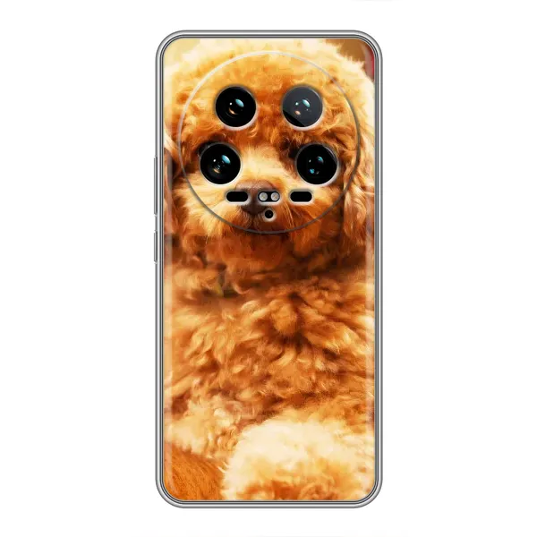 Чехол с принтом «Щенок Бишон» для Xiaomi 14 Ultra