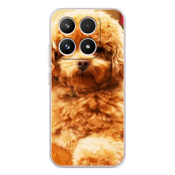 Чехол с принтом «Щенок Бишон» для Xiaomi 17