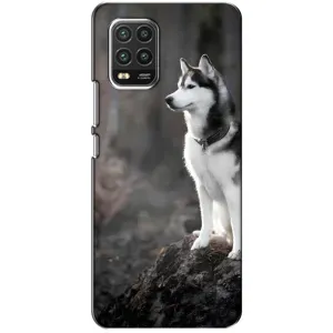Чехол с Хаски для Xiaomi Mi 10 Lite - (AlphaPrint) (Верный пес)