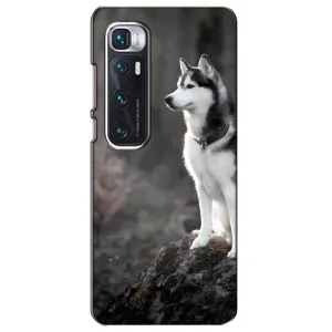 Чехол с Хаски для Xiaomi Mi 10 Ultra - (AlphaPrint) (Верный пес)