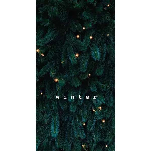 Чехол с принтом «Winter» для Xiaomi Mi 11 Lite Чехол с принтом «Winter» для Xiaomi Mi 11 Lite