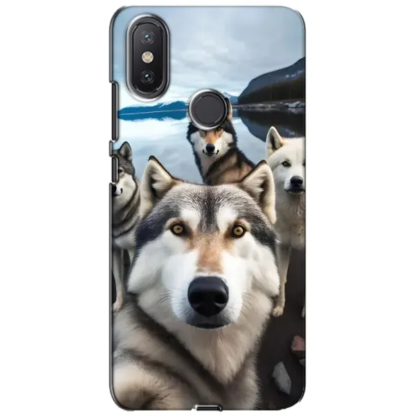 Чехол с принтом «Селфи ХАски» для Xiaomi Mi A2 Lite