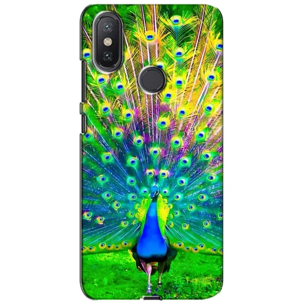 Чехол с принтом «Яркий Павлин» для Xiaomi Mi A2 Lite Чехол с принтом «Яркий Павлин» для Xiaomi Mi A2 Lite