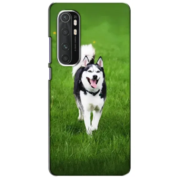 Чехол с принтом «Радостный Хаски» для Xiaomi Mi Note 10 Lite Чехол с принтом «Радостный Хаски» для Xiaomi Mi Note 10 Lite