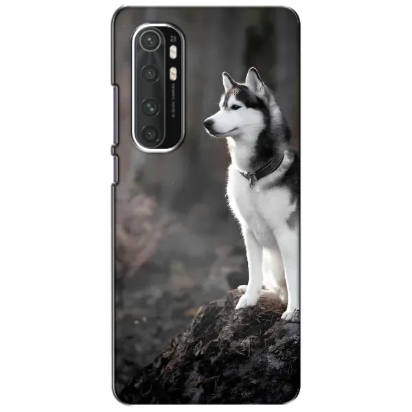 Чехол с принтом «Верный пес» для Xiaomi Mi Note 10 Lite Чехол с принтом «Верный пес» для Xiaomi Mi Note 10 Lite