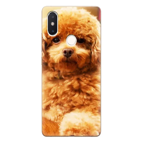 Чохол з принтом «Цуценя Бішон» для Xiaomi Mi 8 SE