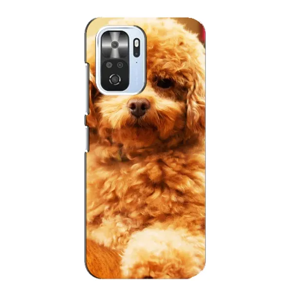 Чехол с принтом «Щенок Бишон» для Xiaomi POCO F3