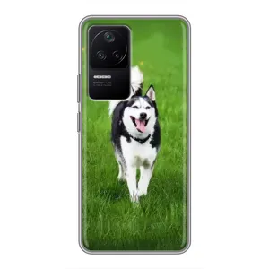 Чохол з Хаскі Xiaomi POCO F4 (5G) - (AlphaPrint) (Радісний Хаскі)