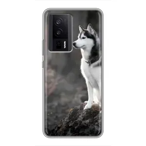 Чехол с Хаски для Xiaomi POCO F5 Pro - (AlphaPrint) (Верный пес)