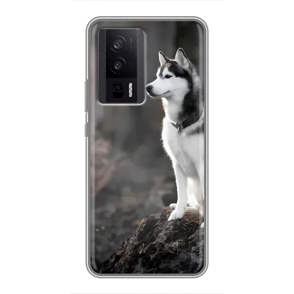Чехол с принтом «Верный пес» для Xiaomi POCO F5 Pro