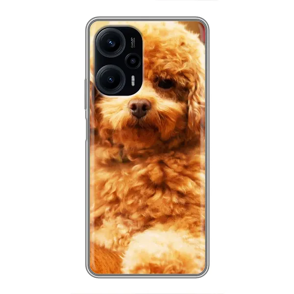 Чехол с принтом «Щенок Бишон» для Xiaomi POCO F5 Чехол с принтом «Щенок Бишон» для Xiaomi POCO F5
