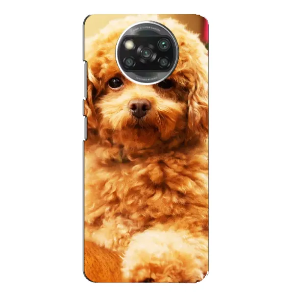 Чехол с принтом «Щенок Бишон» для Xiaomi POCO X3