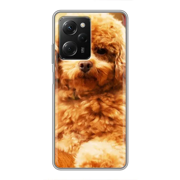 Чехол с принтом «Щенок Бишон» для Xiaomi POCO X5 Pro (5G) Чехол с принтом «Щенок Бишон» для Xiaomi POCO X5 Pro (5G)