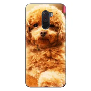 Чехлы с собаками для Xiaomi POCO F1 (VPrint) (Щенок Бишон)