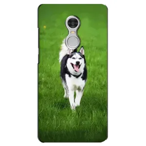 Чохол з Хаскі Xiaomi Redmi 5 - (AlphaPrint) (Радісний Хаскі)