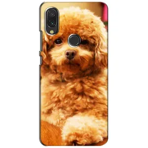 Чехлы с собаками для Xiaomi Redmi 7 (VPrint) (Щенок Бишон)