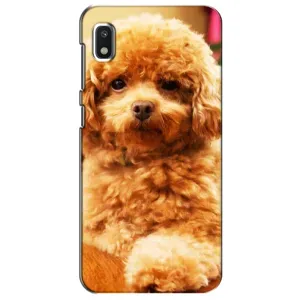 Чохли з собаками для Xiaomi Redmi K20 Pro (VPrint) (Цуценя Бішон)