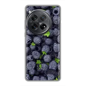 Чехлы с Фруктами для Xiaomi Redmi K80 (VPrint) (Ежевика)