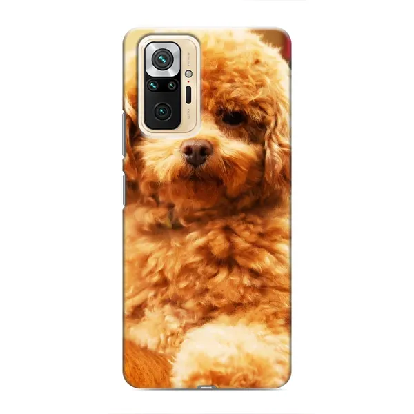 Чехол с принтом «Щенок Бишон» для Xiaomi Redmi Note 10 Pro