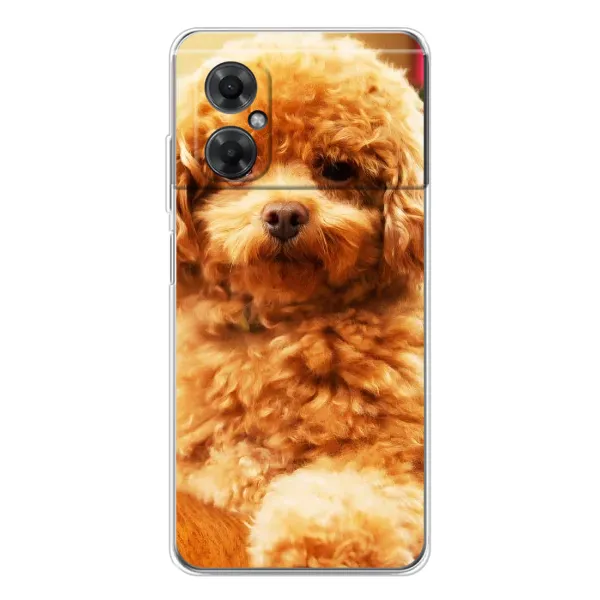 Чехол с принтом «Щенок Бишон» для Xiaomi Redmi Note 11R