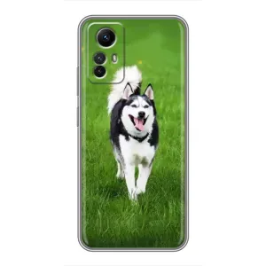 Чохол з Хаскі Xiaomi Redmi Note 12s - (AlphaPrint) (Радісний Хаскі)