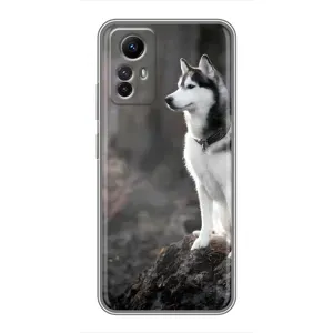 Чохол з Хаскі Xiaomi Redmi Note 12s - (AlphaPrint) (Вірний собака)
