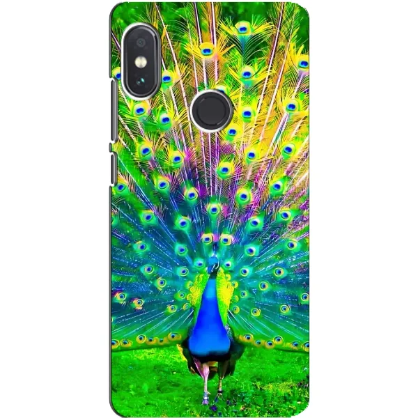 Чохол з принтом «Яскравий Павлин» для Xiaomi Redmi Note 5 Pro