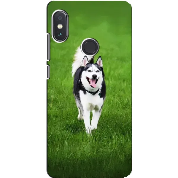 Чехол с принтом «Радостный Хаски» для Xiaomi Redmi Note 5 Чехол с принтом «Радостный Хаски» для Xiaomi Redmi Note 5