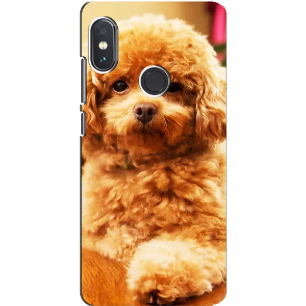 Чехол с принтом «Щенок Бишон» для Xiaomi Redmi Note 5