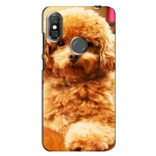 Чохол з принтом «Цуценя Бішон» для Xiaomi Redmi Note 6 Pro