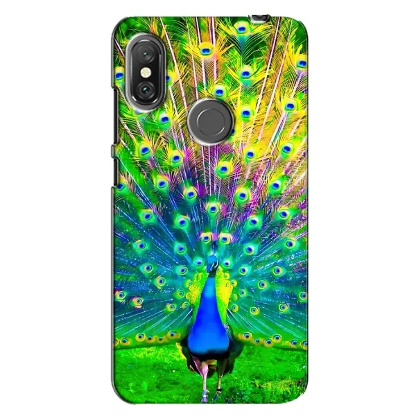 Чохол з принтом «Яскравий Павлин» для Xiaomi Redmi Note 6 Pro