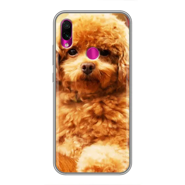 Чехол с принтом «Щенок Бишон» для Xiaomi Redmi Note 7 Pro Чехол с принтом «Щенок Бишон» для Xiaomi Redmi Note 7 Pro