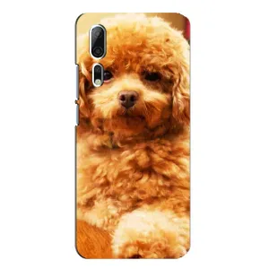 Чехлы с собаками для ZTE Axon 10 Pro (VPrint) (Щенок Бишон)