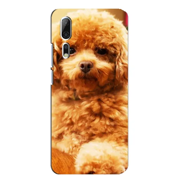 Чехол с принтом «Щенок Бишон» для ZTE Axon 10 Pro Чехол с принтом «Щенок Бишон» для ZTE Axon 10 Pro