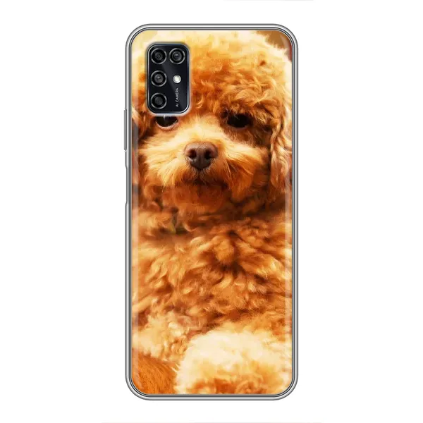 Чохол з принтом «Цуценя Бішон» для ZTE Blade V2020 Smart