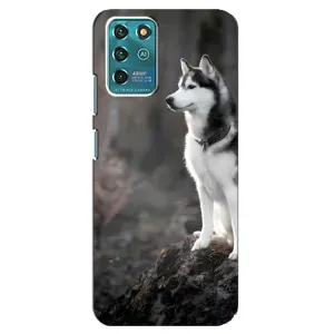 Чехол с Хаски для ZTE Blade V30 Vita - (AlphaPrint) (Верный пес)