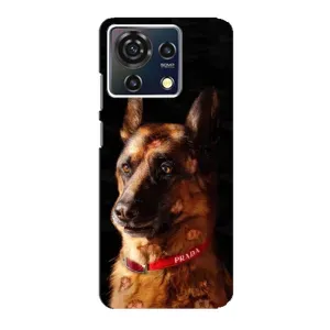 Чехлы с картинками животных ZTE Blade V50 Vita (Овчарка)
