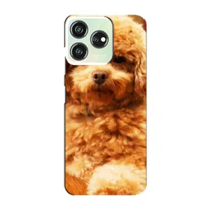 Чехлы с собаками для ZTE Blade V50 (VPrint) (Щенок Бишон)