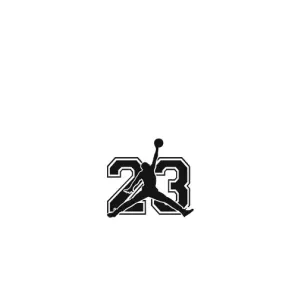 Чехлы для ZTE V2020 Smart - с картинкой JORDAN (AlphaPrint) (Jordan 23)